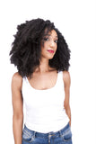 Afro Curls